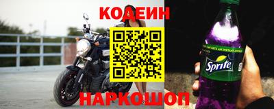 СК Гатчина