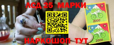 СК Гатчина
