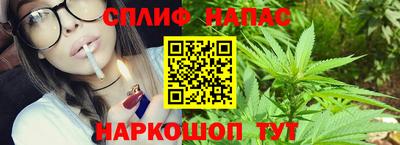 СК Гатчина