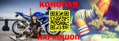 СК Гатчина