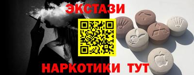 СК Гатчина