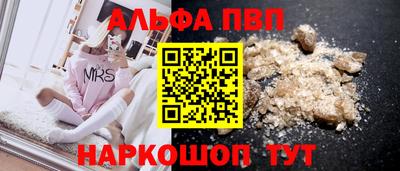 СК Гатчина