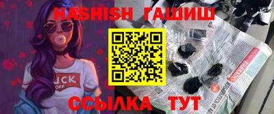 СК Гатчина