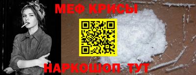 СК Гатчина