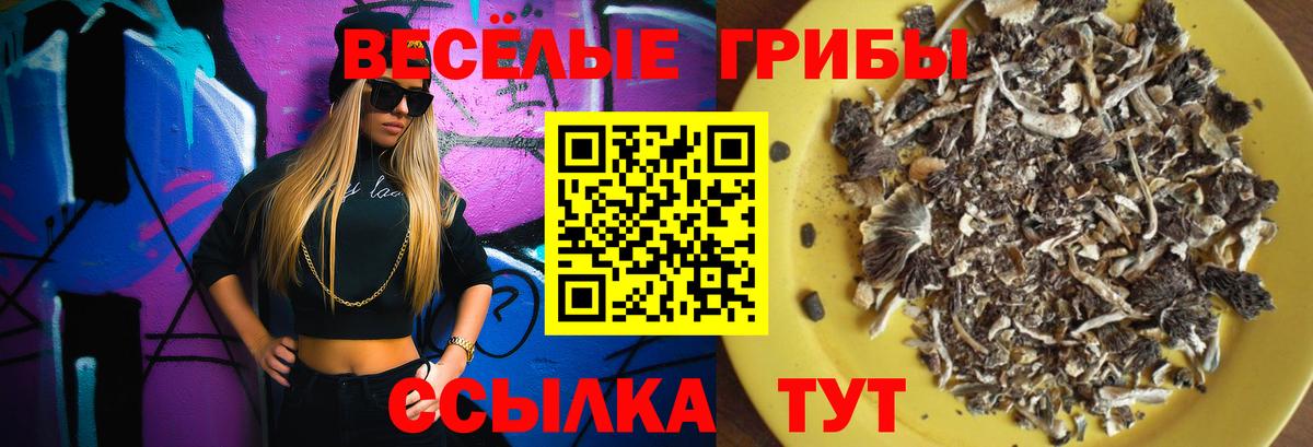 Дмитров  Галлюциногенные грибы ЛСД  Вход с VPN 