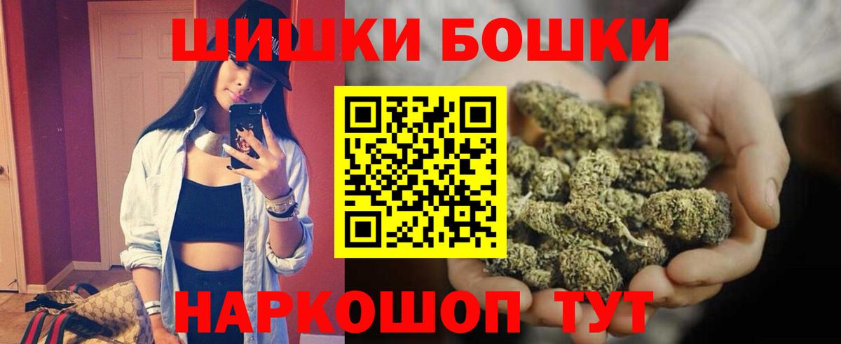 Бошки Шишки планчик Дмитров